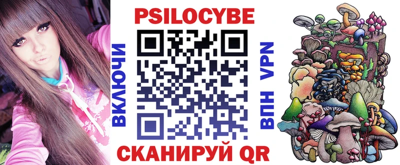 Псилоцибиновые грибы Psilocybe Константиновск