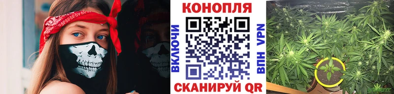 Бошки Шишки индика  закладка  мориарти как зайти  Константиновск  blacksprut онион 